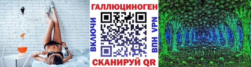 мега ссылки  Полесск  Псилоцибиновые грибы GOLDEN TEACHER 
